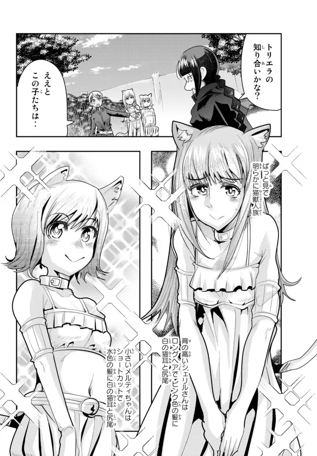 よくわからないけれど異世界に転生していたようです 第48.2話 - Page 12