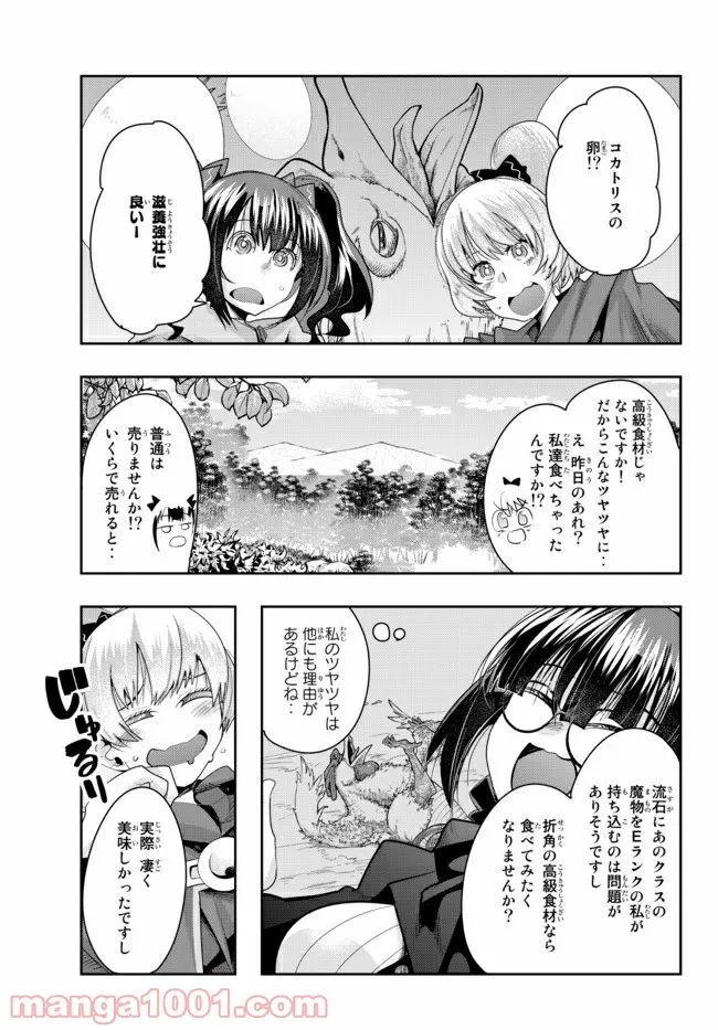 よくわからないけれど異世界に転生していたようです 第33.1話 - Page 3