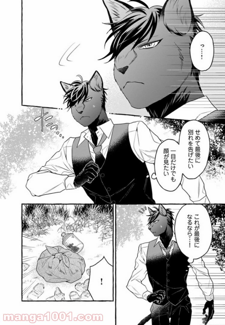 僕の番は猫紳士 第4.1話 - Page 4