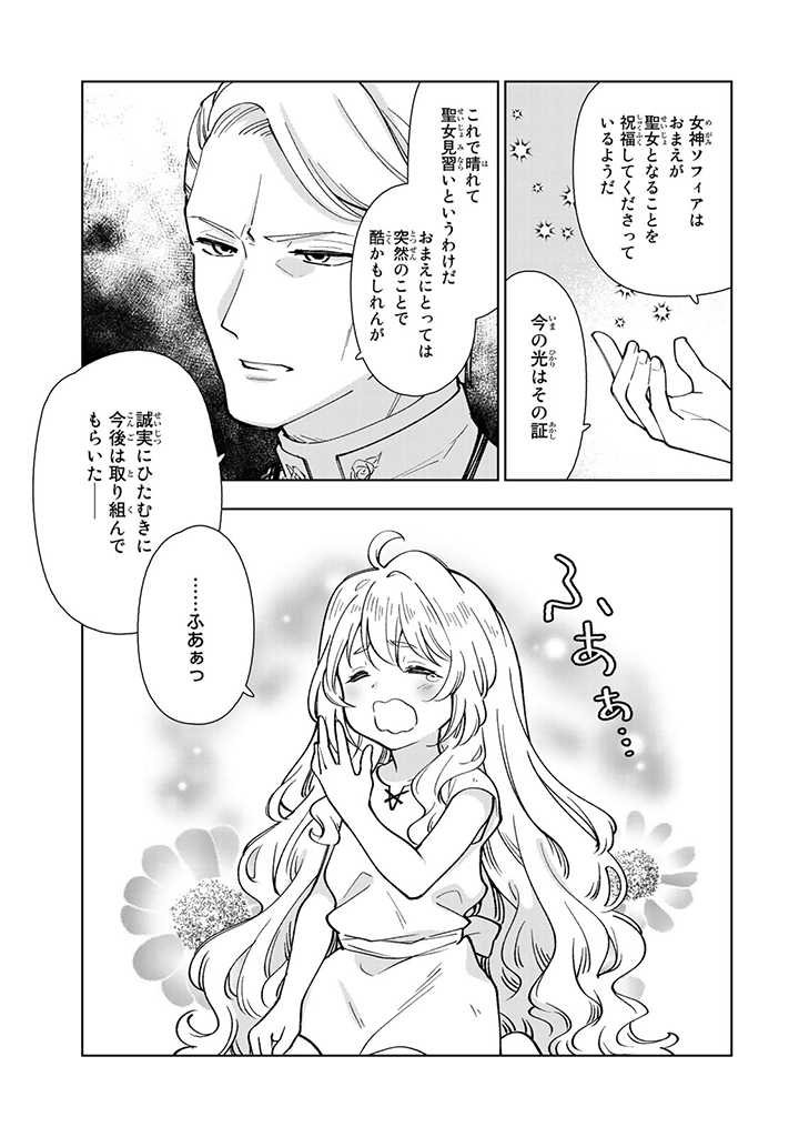 転生大聖女の異世界のんびり紀行 Tensei Daiseijo no Isekai Nonbiri Kikou - 第1話 - Page 15