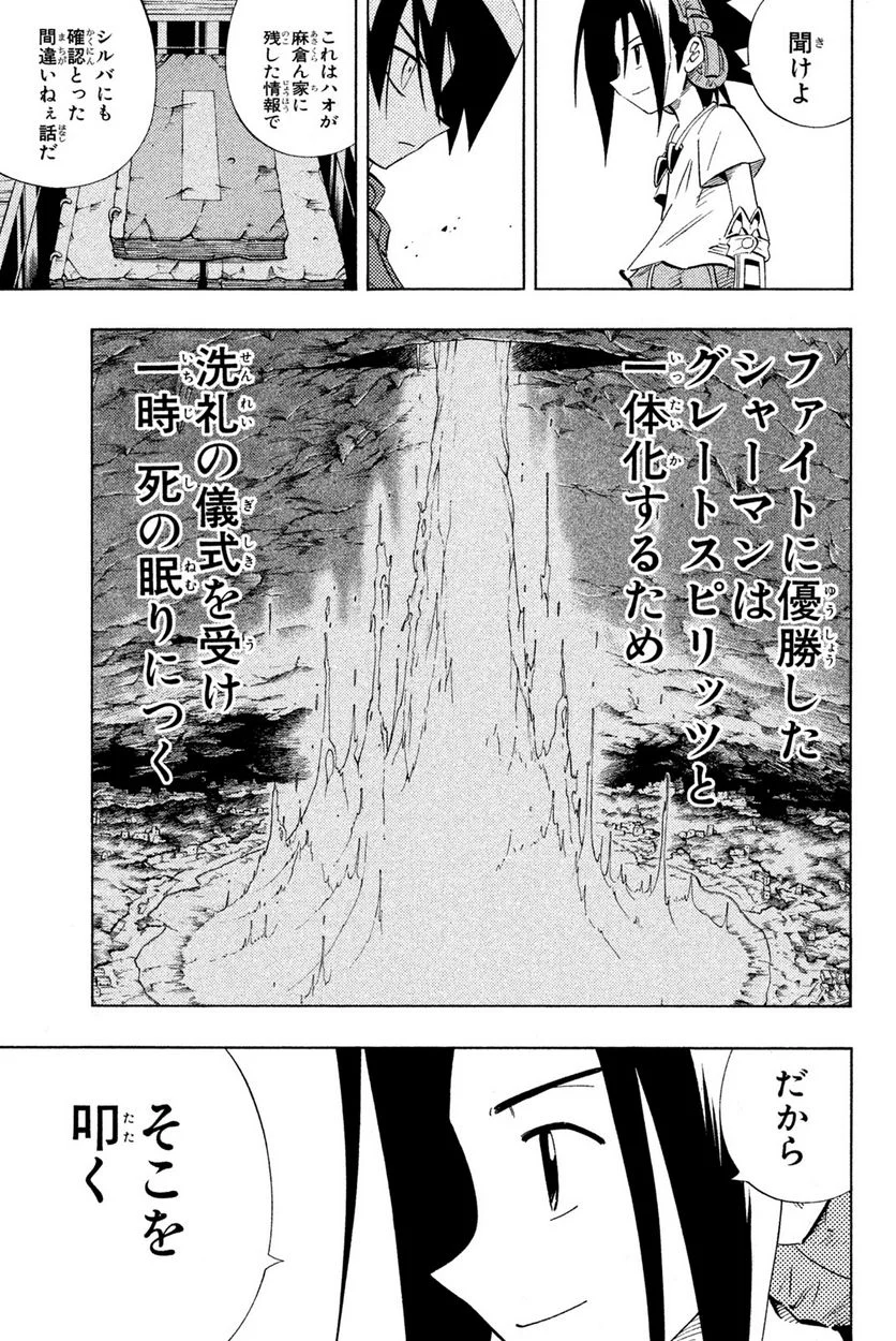 SHAMAN KING ～シャーマンキング～ KC完結版 第219話 - Page 13