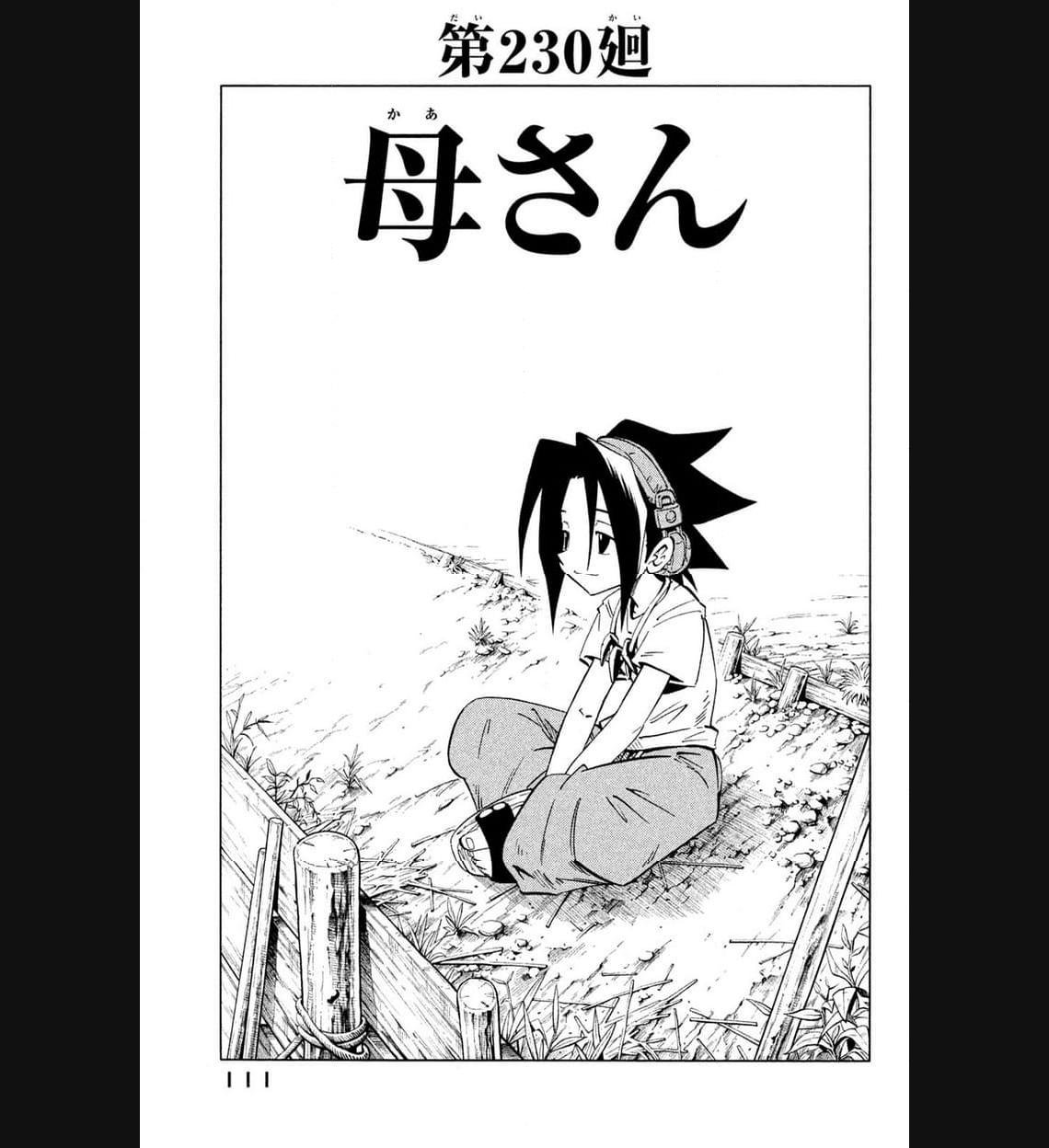 SHAMAN KING ～シャーマンキング～ KC完結版 第230話 - Page 3