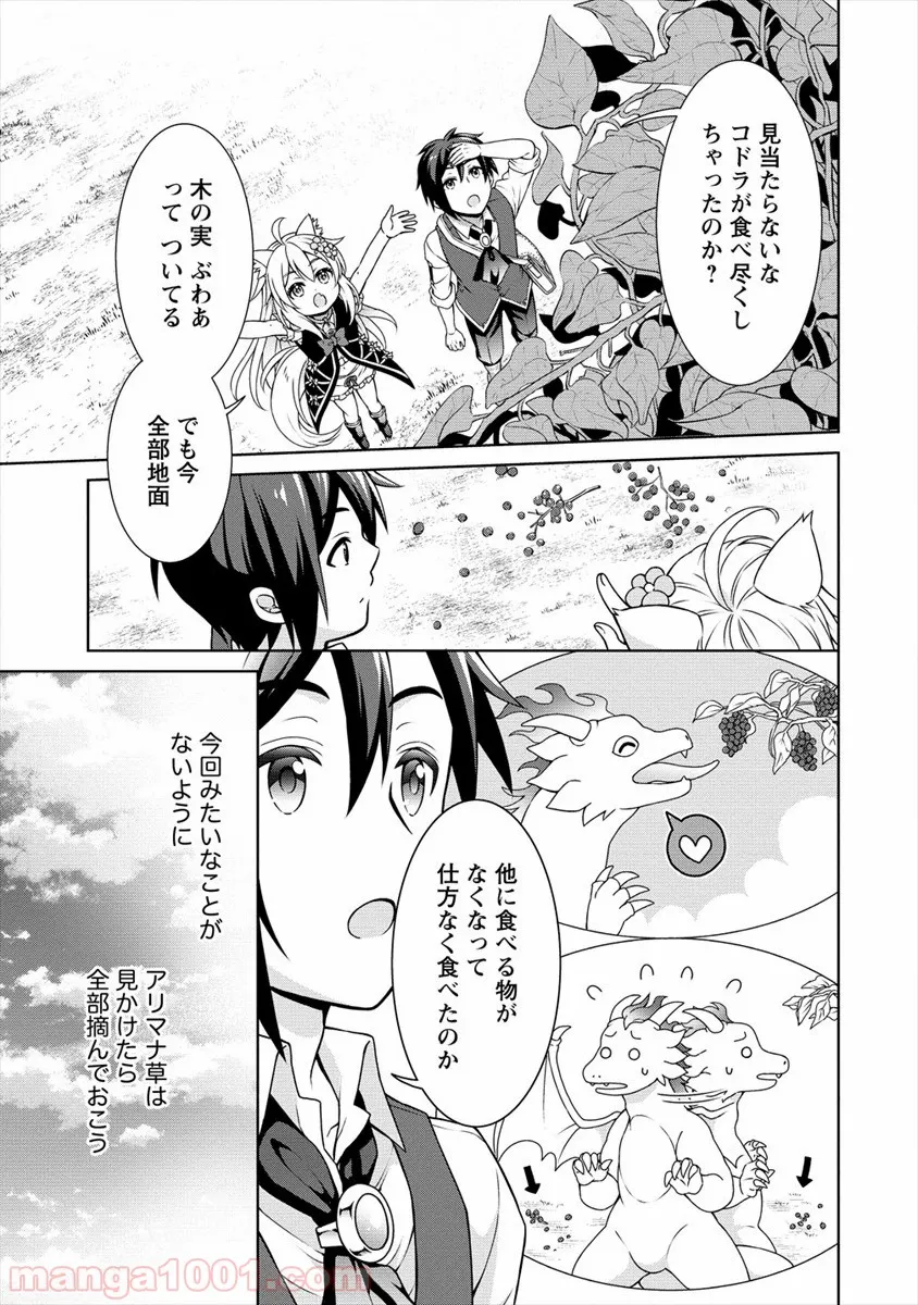 チート薬師のスローライフ ​異世界に作ろうドラッグストア 第18話 - Page 13