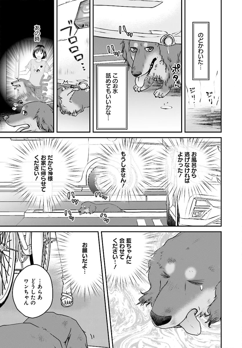 犬飼いちゃんと猫飼い先生　ごしゅじんたちは両片想い 第11.1話 - Page 7