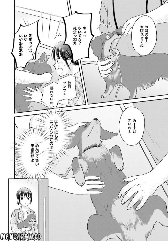 犬飼いちゃんと猫飼い先生　ごしゅじんたちは両片想い 第1話 - Page 16