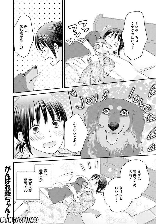 犬飼いちゃんと猫飼い先生　ごしゅじんたちは両片想い 第1話 - Page 30