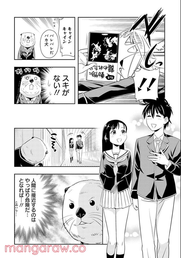 群れなせ！シートン学園 第61話 - Page 13