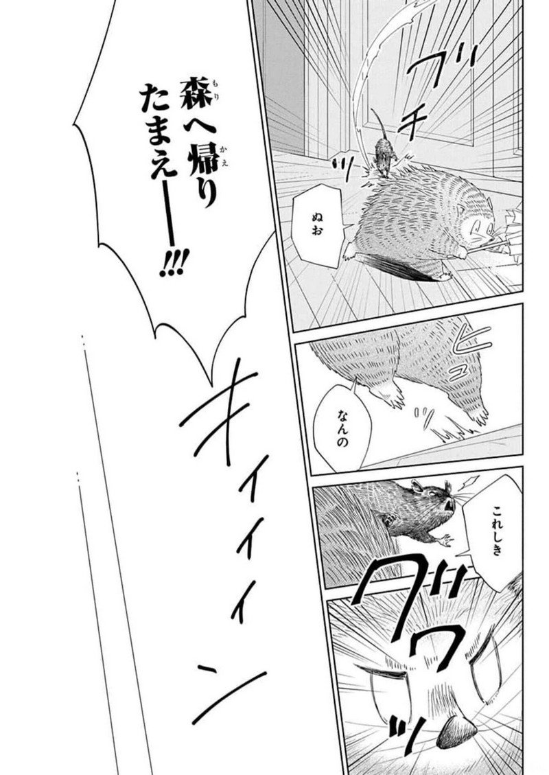 ピチカートの眠る森 第4話 - Page 41