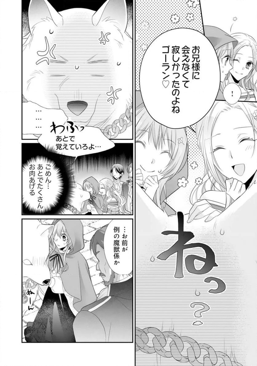 竜王陛下のもふもふお世話係～転生した平凡女子に溺愛フラグが立ちました～ 第11話 - Page 12