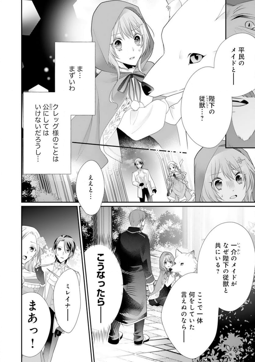 竜王陛下のもふもふお世話係～転生した平凡女子に溺愛フラグが立ちました～ 第11話 - Page 10