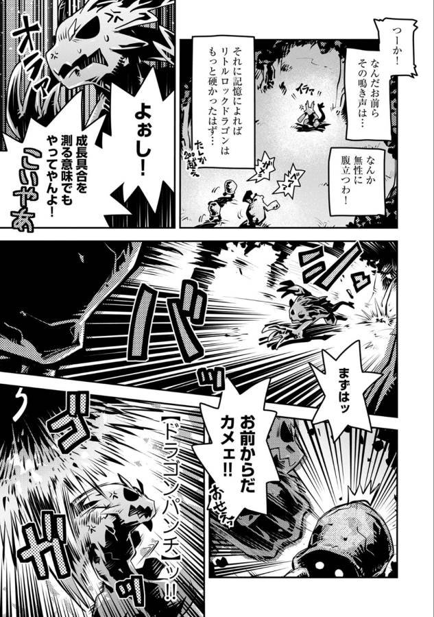 転生したらドラゴンの卵だった ~最強以外目指さねぇ~ 第4話 - Page 17