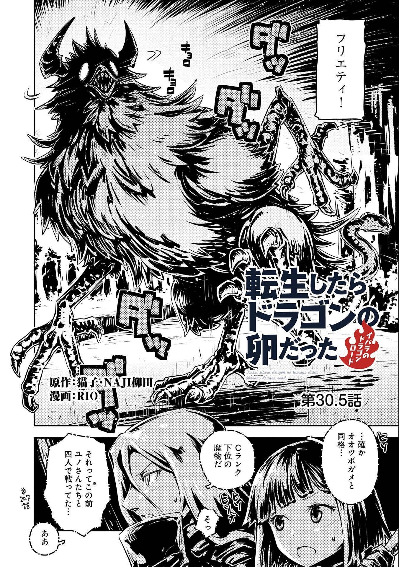 転生したらドラゴンの卵だった ~最強以外目指さねぇ~ 第30.5話 - Page 2