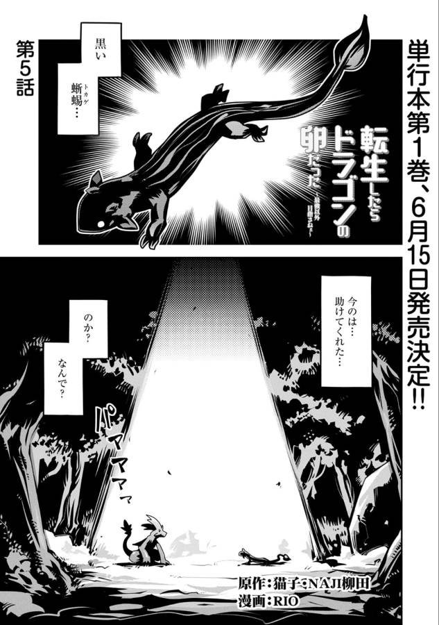 転生したらドラゴンの卵だった ~最強以外目指さねぇ~ 第5話 - Page 2