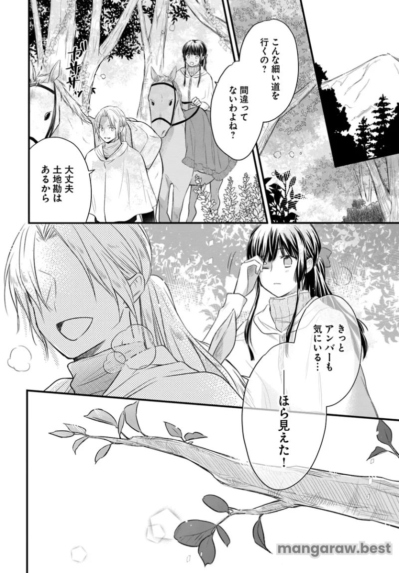 女伯爵アンバーには商才がある！　やっと自由になれたので、再婚なんてお断り 第7.1話 - Page 4