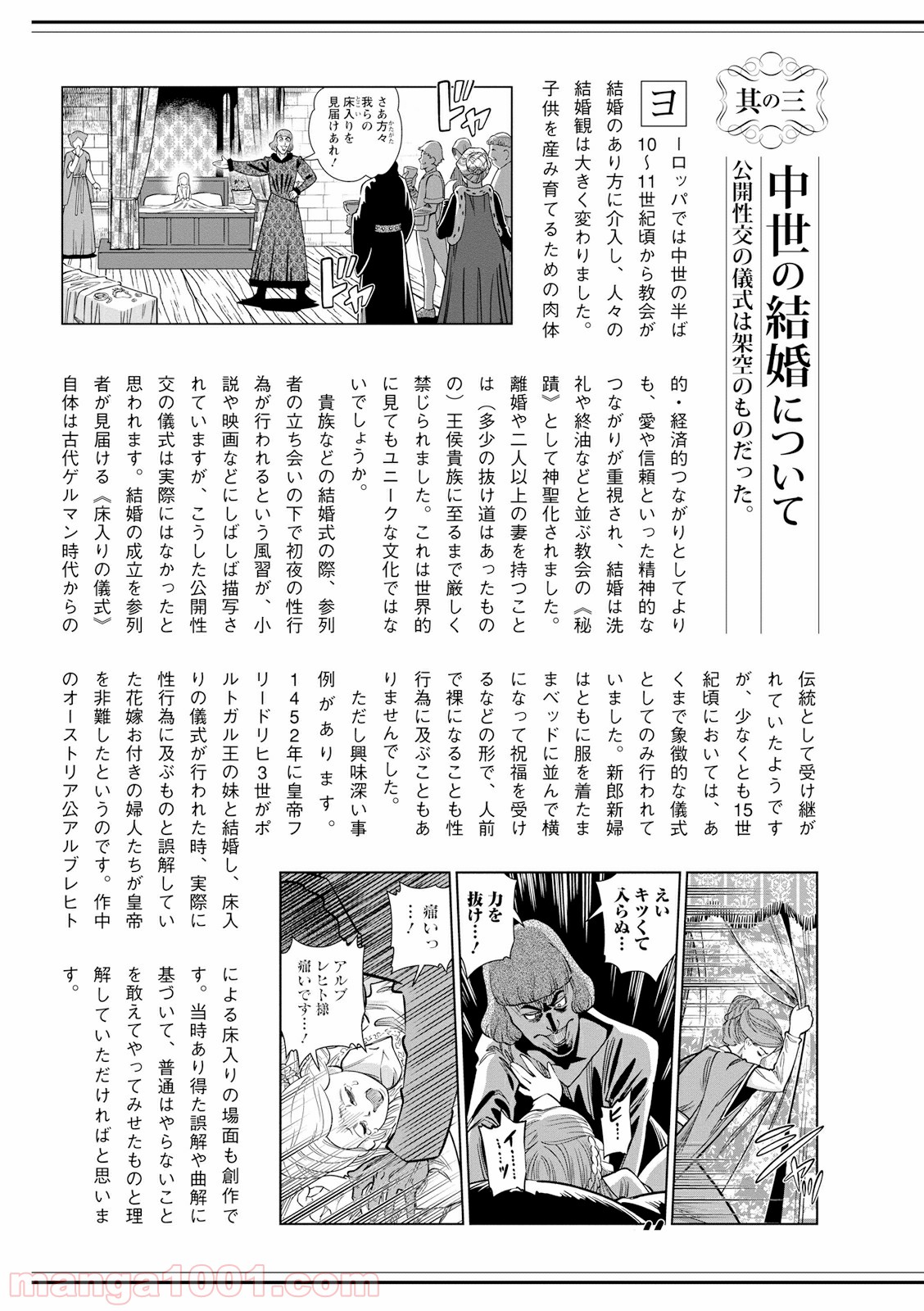 乙女戦争 ディーヴチー・ヴァールカ 第25話 - Page 39