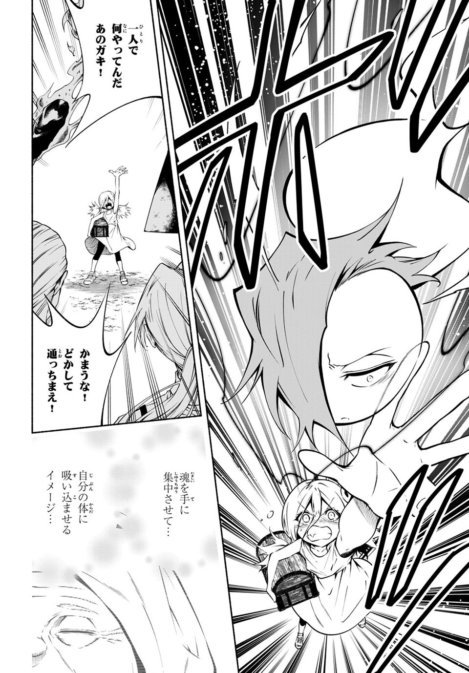 ＳＨＡＭＡＮ　ＫＩＮＧ　＆ａ　ｇａｒｄｅｎ - 第9.4話 - Page 3