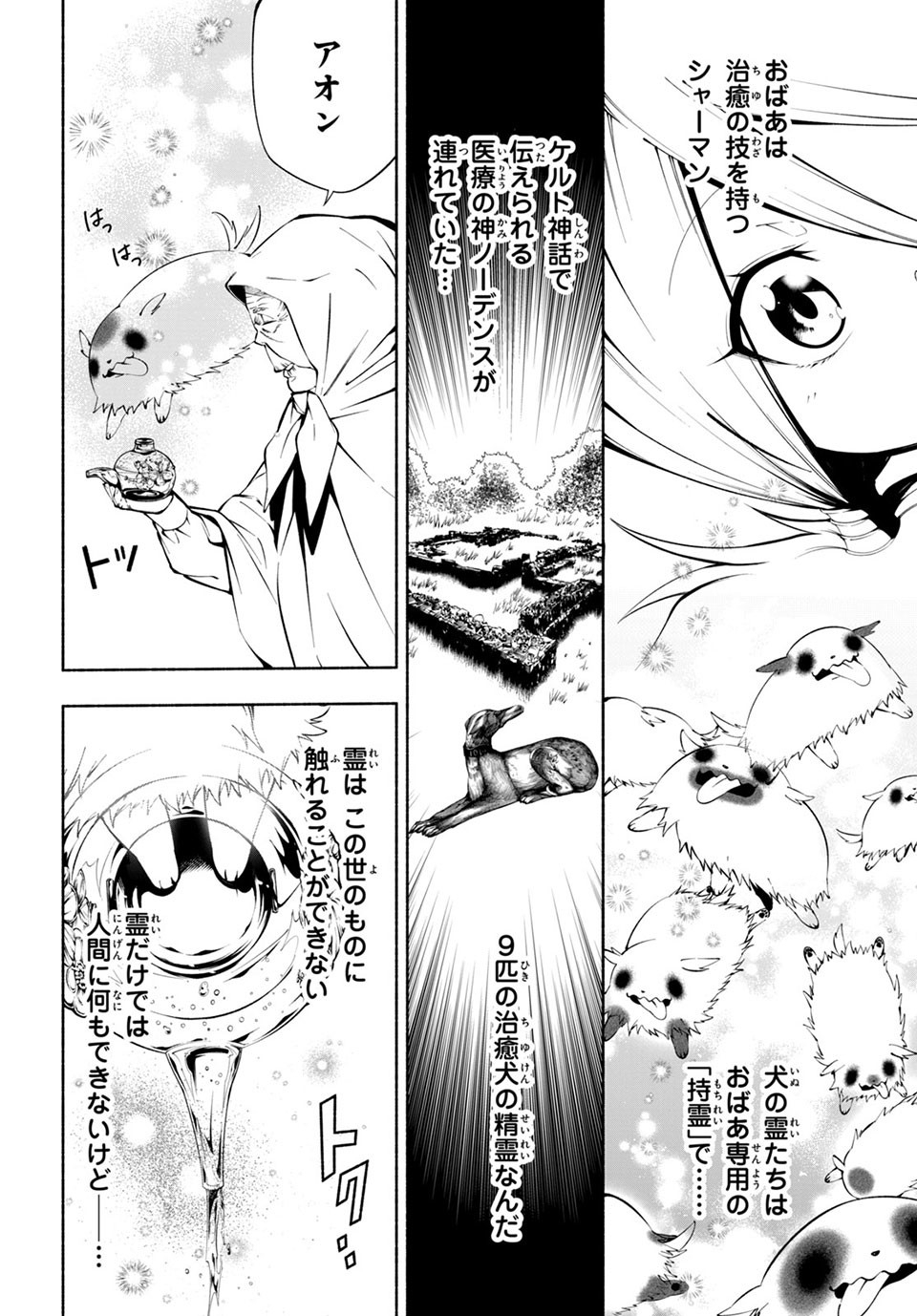 ＳＨＡＭＡＮ　ＫＩＮＧ　＆ａ　ｇａｒｄｅｎ - 第6.2話 - Page 4