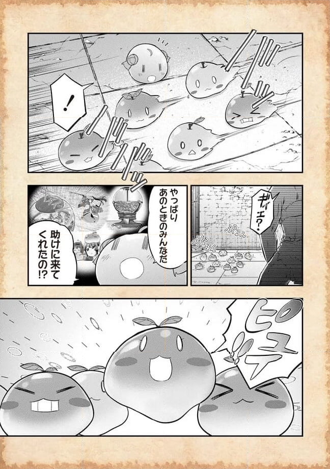 転生したらあかりだけスライムだった件 - 第17.1話 - Page 7