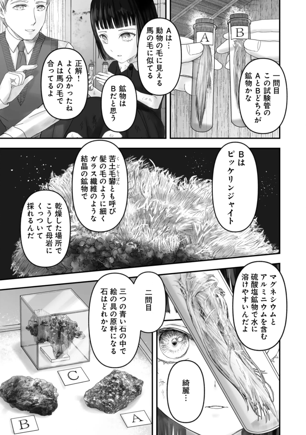 宝石商のメイド - 第21.2話 - Page 5