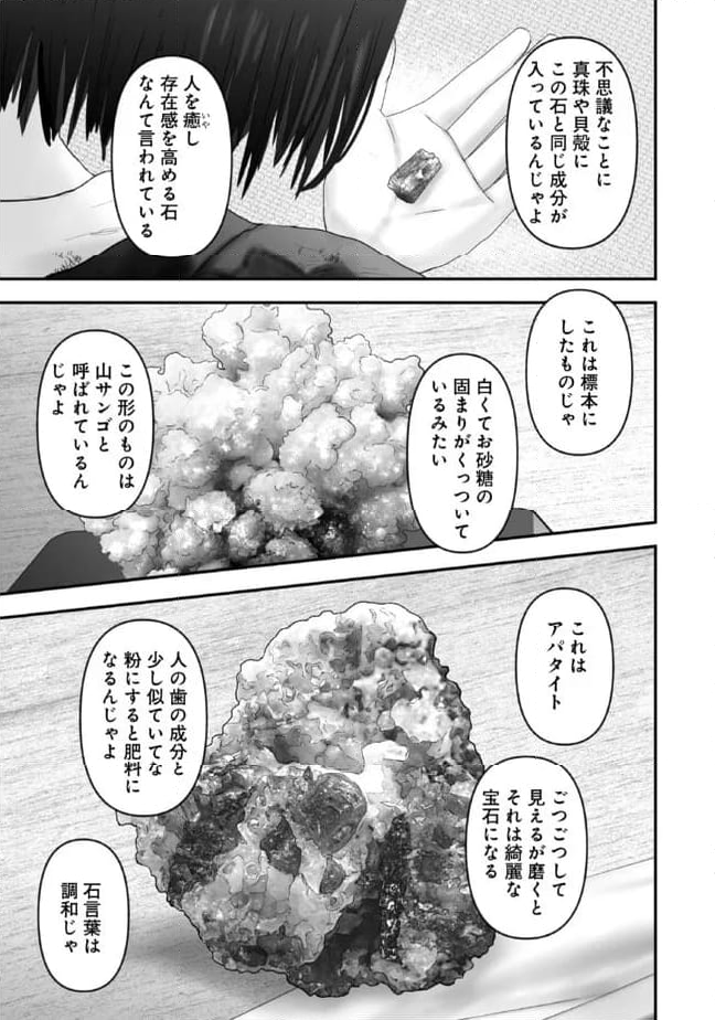 宝石商のメイド 第19話 - Page 3