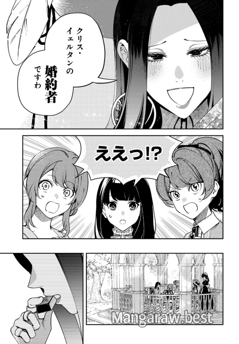 小動物系令嬢は氷の王子に溺愛される 第33.1話 - Page 13