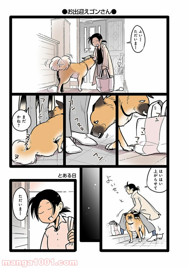 うちの雑種犬ゴンさんがダサかわいい 第12話 - Page 4