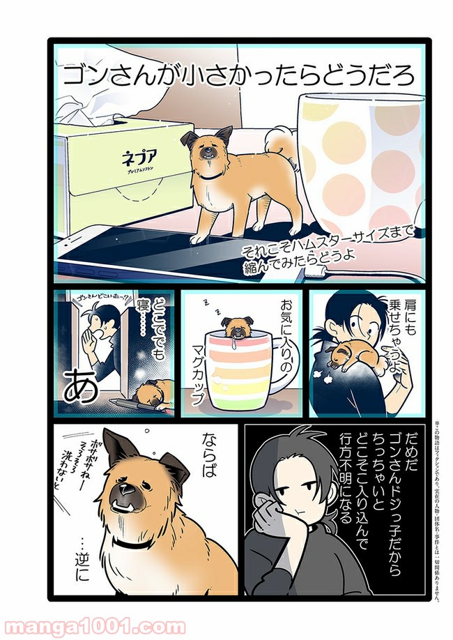 うちの雑種犬ゴンさんがダサかわいい 第13話 - Page 2