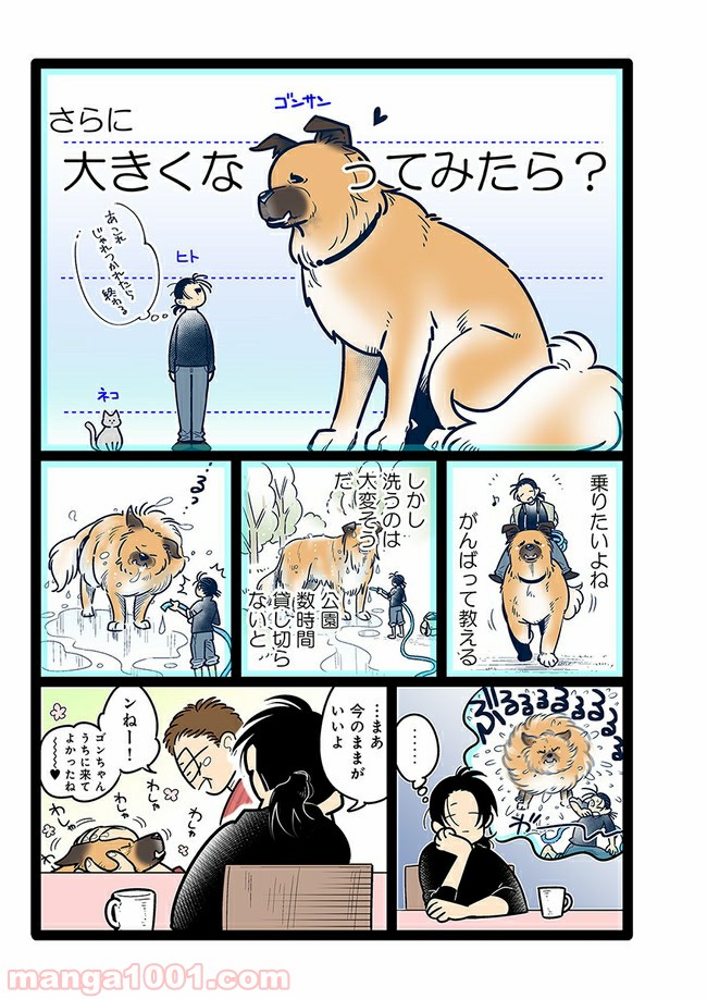 うちの雑種犬ゴンさんがダサかわいい 第13話 - Page 3