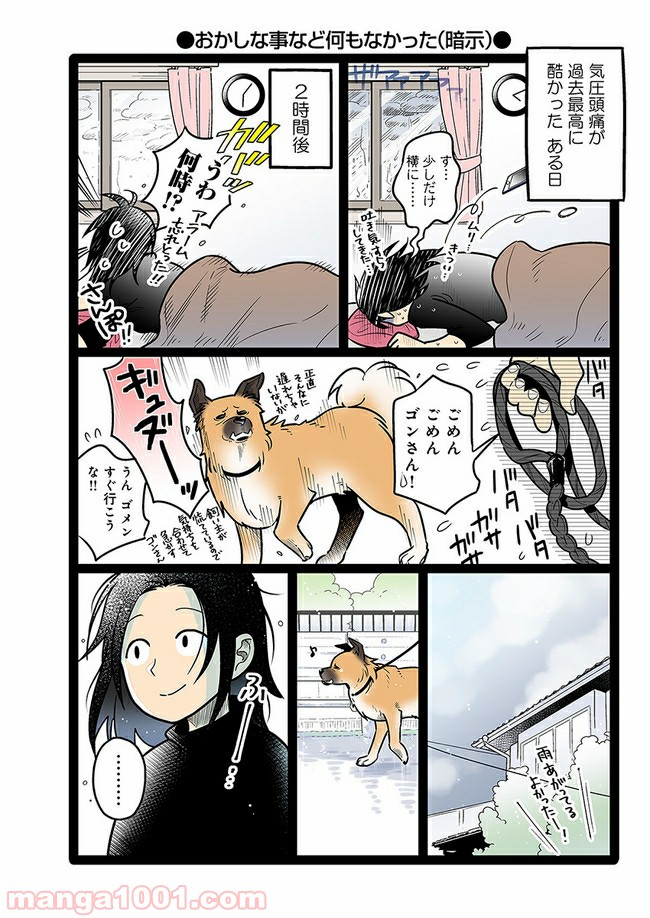 うちの雑種犬ゴンさんがダサかわいい 第13話 - Page 4