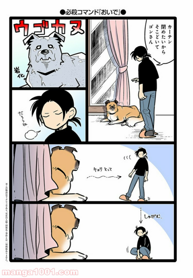 うちの雑種犬ゴンさんがダサかわいい 第11話 - Page 1