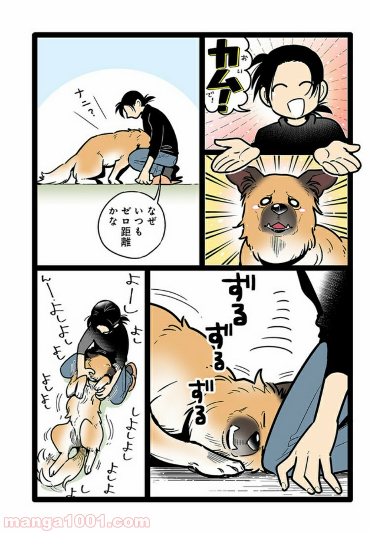 うちの雑種犬ゴンさんがダサかわいい 第11話 - Page 2