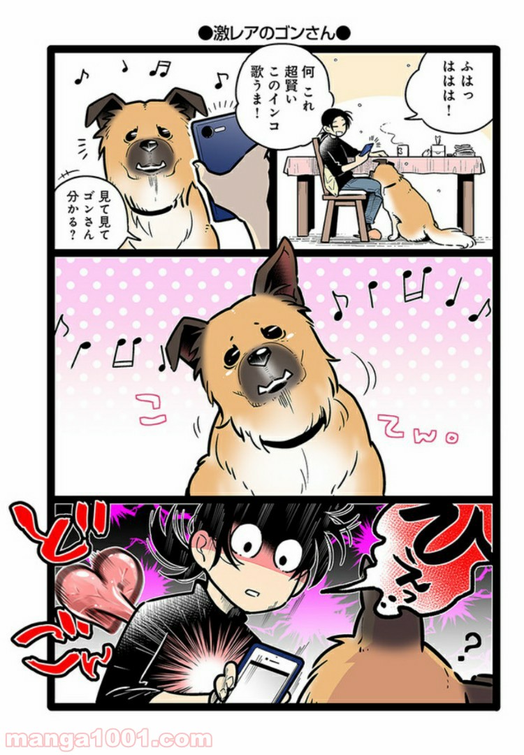 うちの雑種犬ゴンさんがダサかわいい 第11話 - Page 4