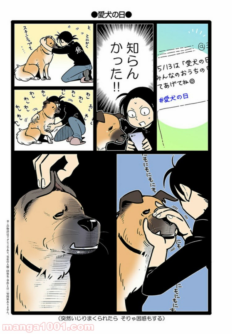 うちの雑種犬ゴンさんがダサかわいい 第6話 - Page 1