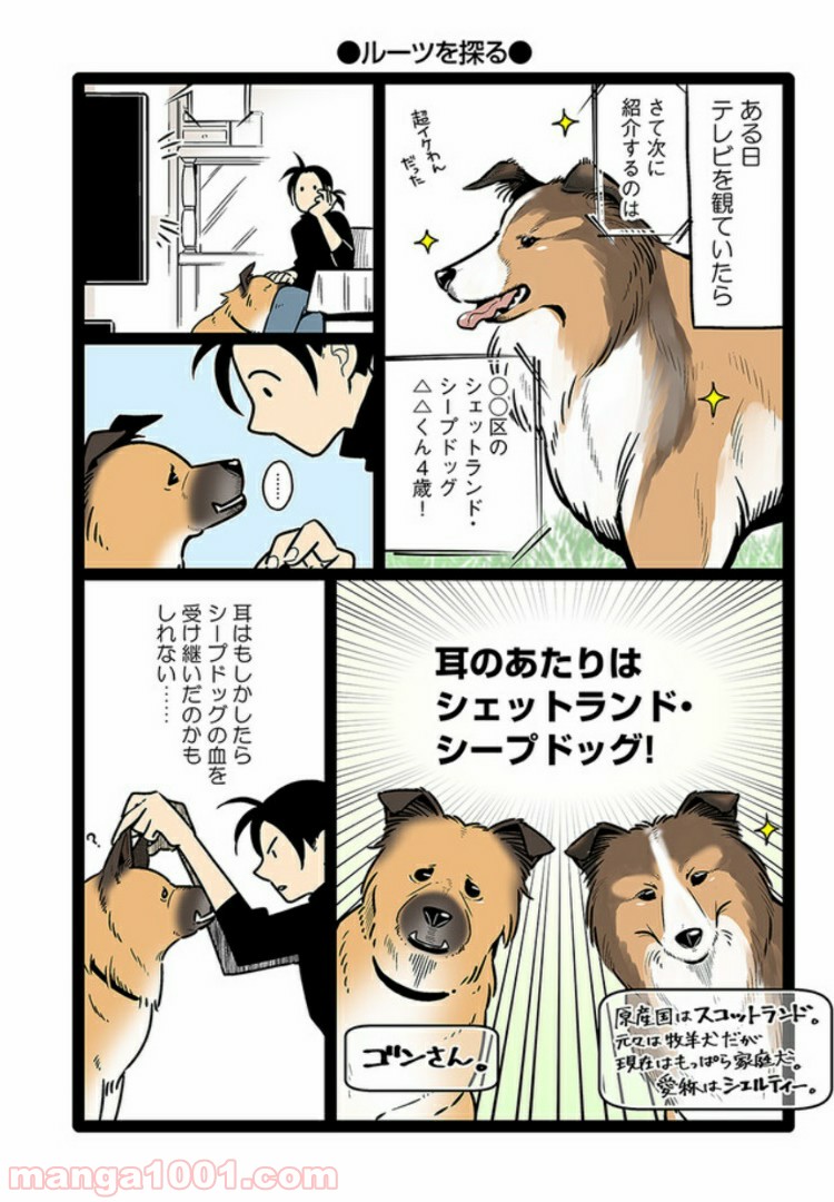 うちの雑種犬ゴンさんがダサかわいい 第6話 - Page 2