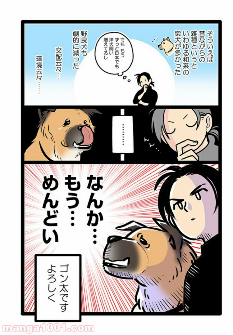 うちの雑種犬ゴンさんがダサかわいい 第6話 - Page 4