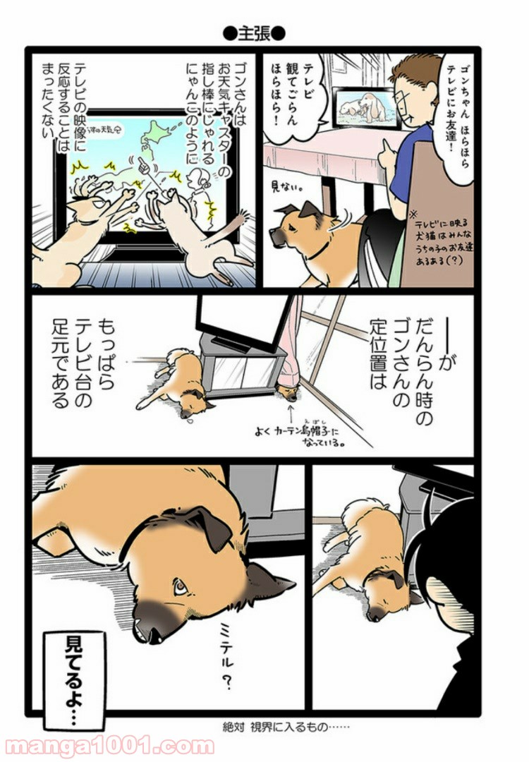 うちの雑種犬ゴンさんがダサかわいい 第6話 - Page 5