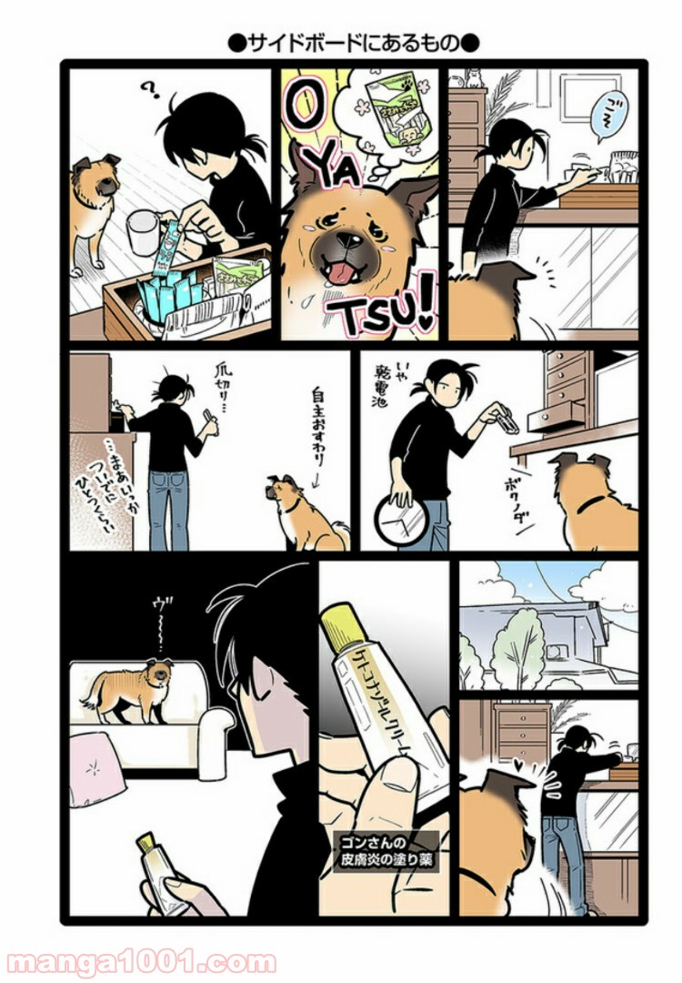 うちの雑種犬ゴンさんがダサかわいい 第6話 - Page 6