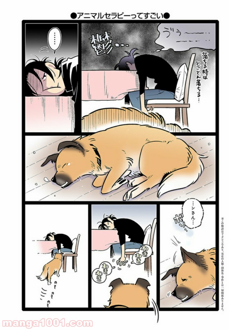 うちの雑種犬ゴンさんがダサかわいい 第4話 - Page 1