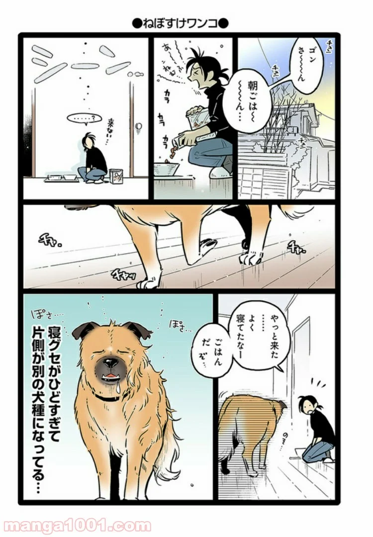 うちの雑種犬ゴンさんがダサかわいい 第4話 - Page 4