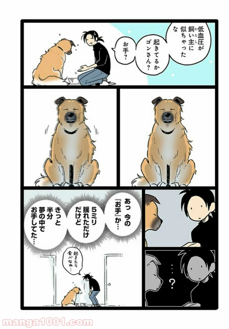 うちの雑種犬ゴンさんがダサかわいい 第4話 - Page 5