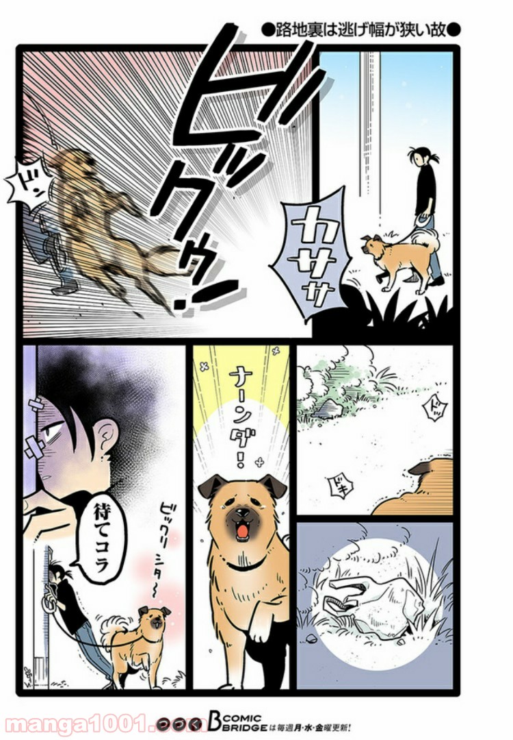 うちの雑種犬ゴンさんがダサかわいい 第4話 - Page 6