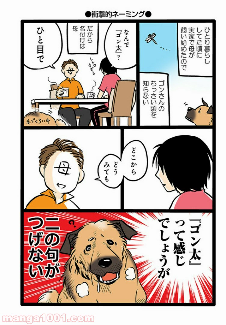 うちの雑種犬ゴンさんがダサかわいい 第1話 - Page 4