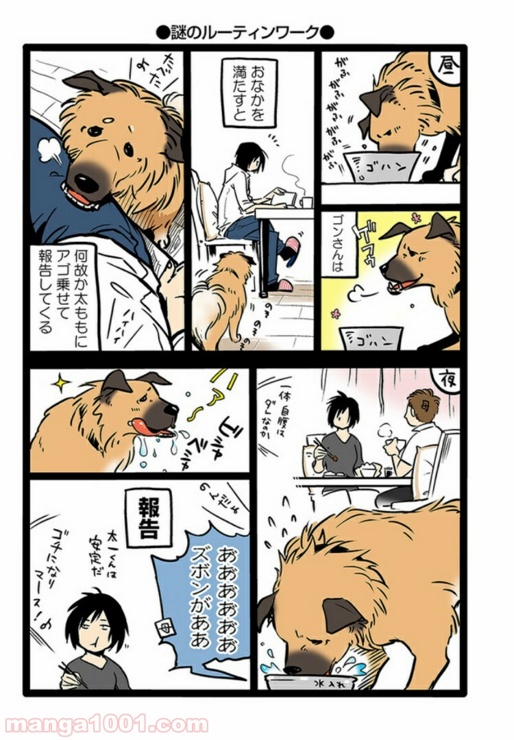 うちの雑種犬ゴンさんがダサかわいい 第1話 - Page 5