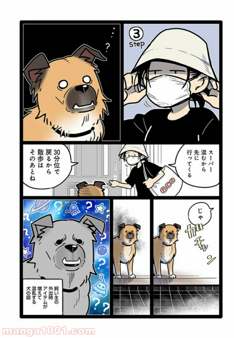 うちの雑種犬ゴンさんがダサかわいい 第8話 - Page 6