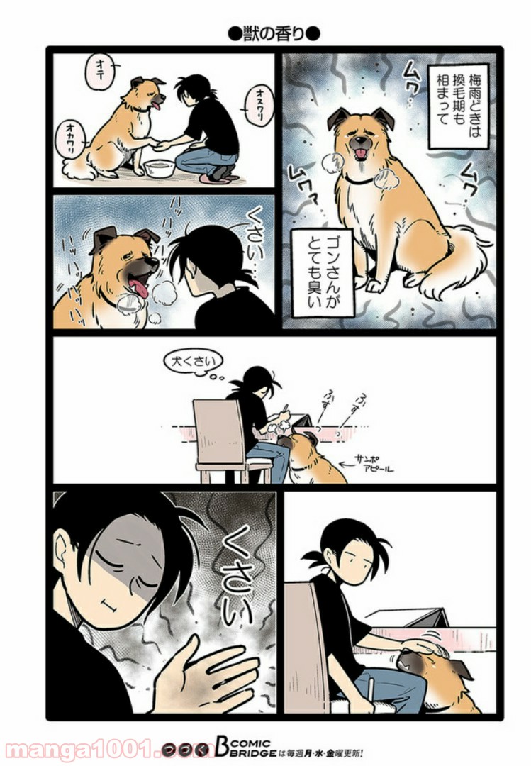 うちの雑種犬ゴンさんがダサかわいい 第8話 - Page 8