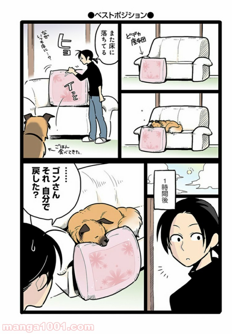 うちの雑種犬ゴンさんがダサかわいい 第2話 - Page 2