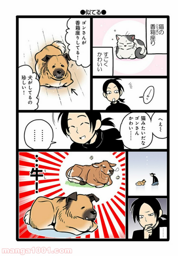 うちの雑種犬ゴンさんがダサかわいい 第2話 - Page 4