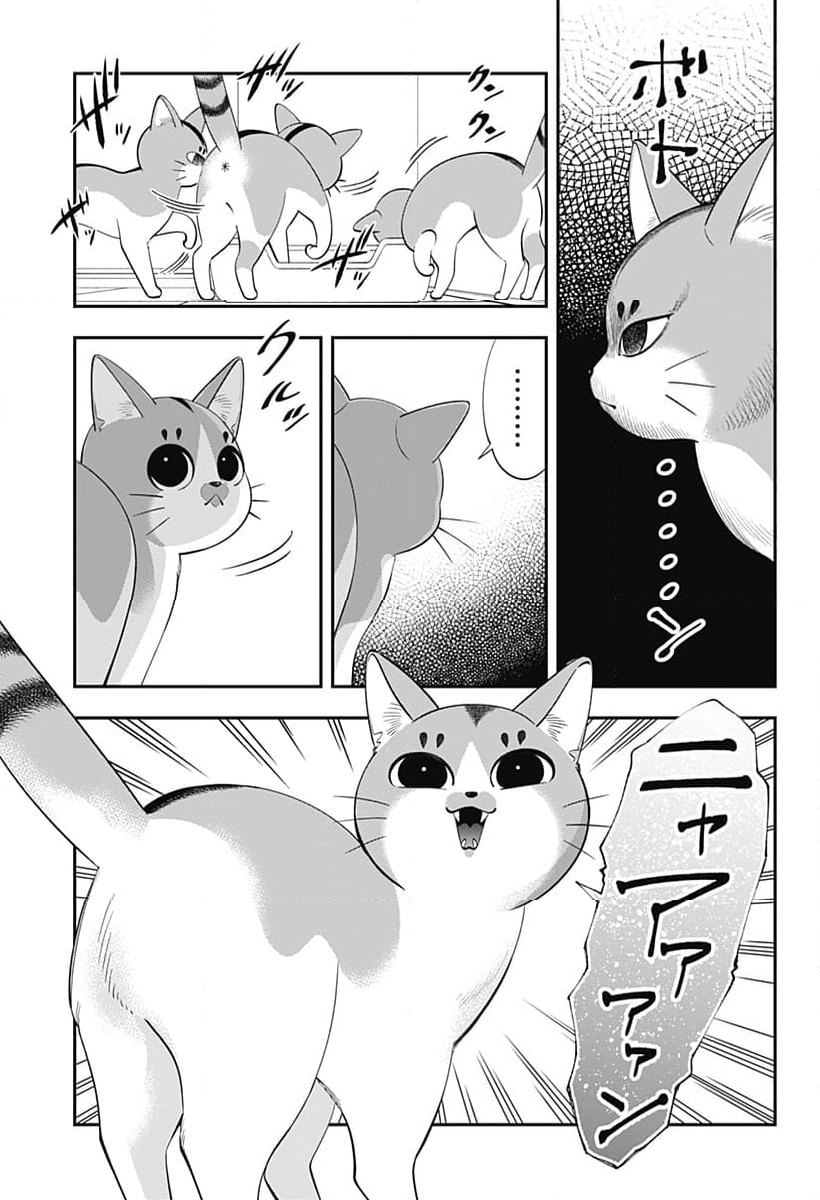 宮王太郎が猫を飼うなんて 第1話 - Page 44