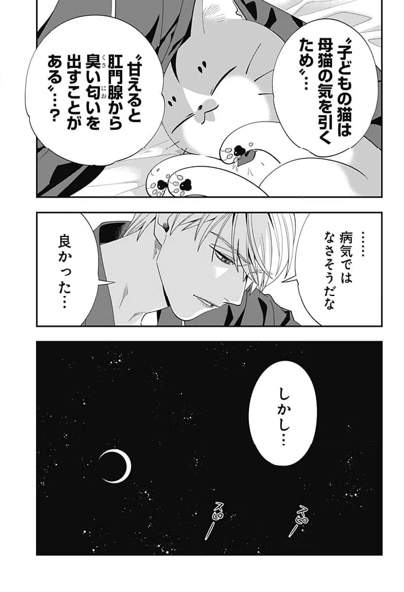 宮王太郎が猫を飼うなんて 第9話 - Page 25