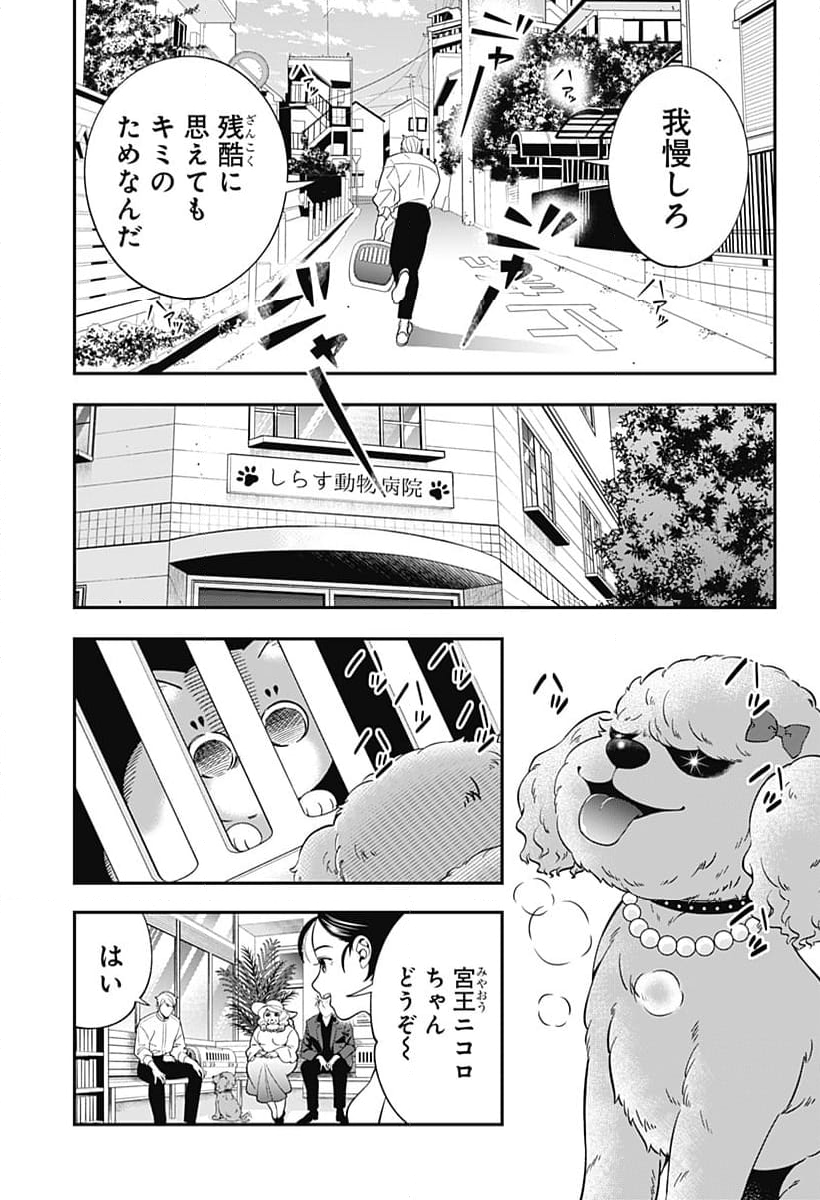 宮王太郎が猫を飼うなんて 第7話 - Page 7